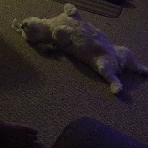 Meet your Posher, Barbara